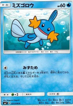 Mudkip