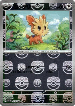 Lillipup