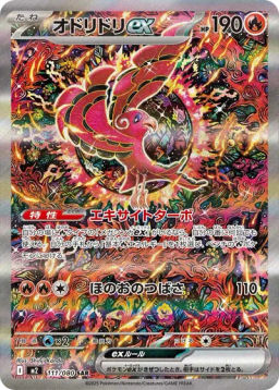 N's Zorua
