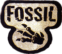 Base Fossil