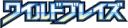 XY Wild Blaze
