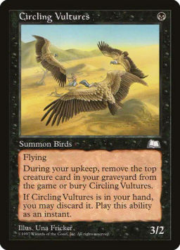 Circling Vultures