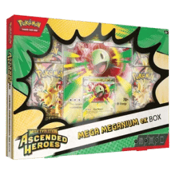 Ascended Heroes Mega Meganium ex Box