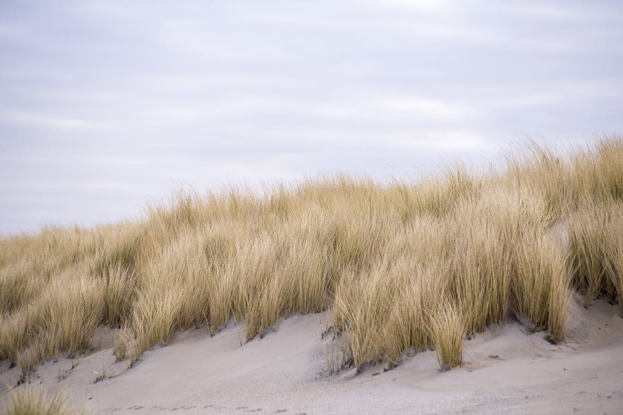 Bretagne