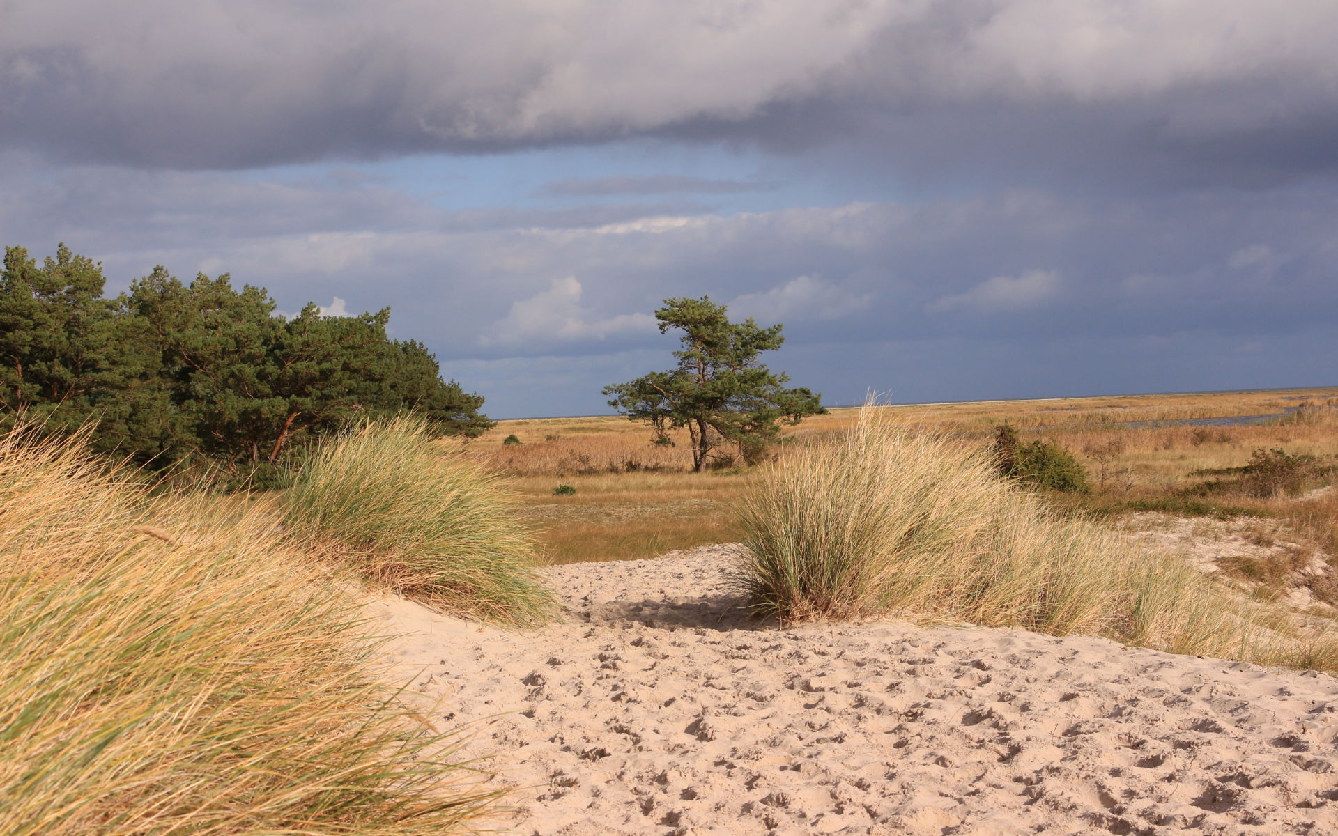 Mecklenburg-Western Pomerania