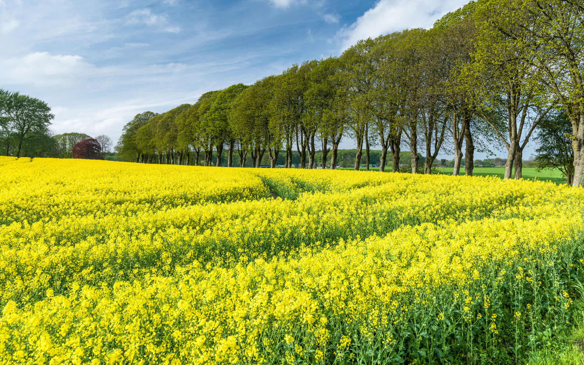 Schleswig-Holstein
