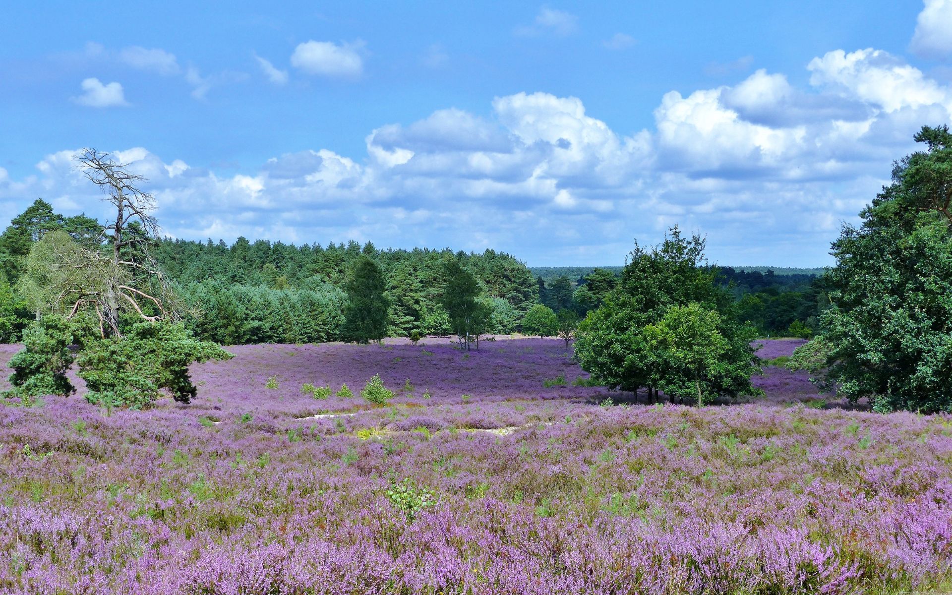 Niedersachsen