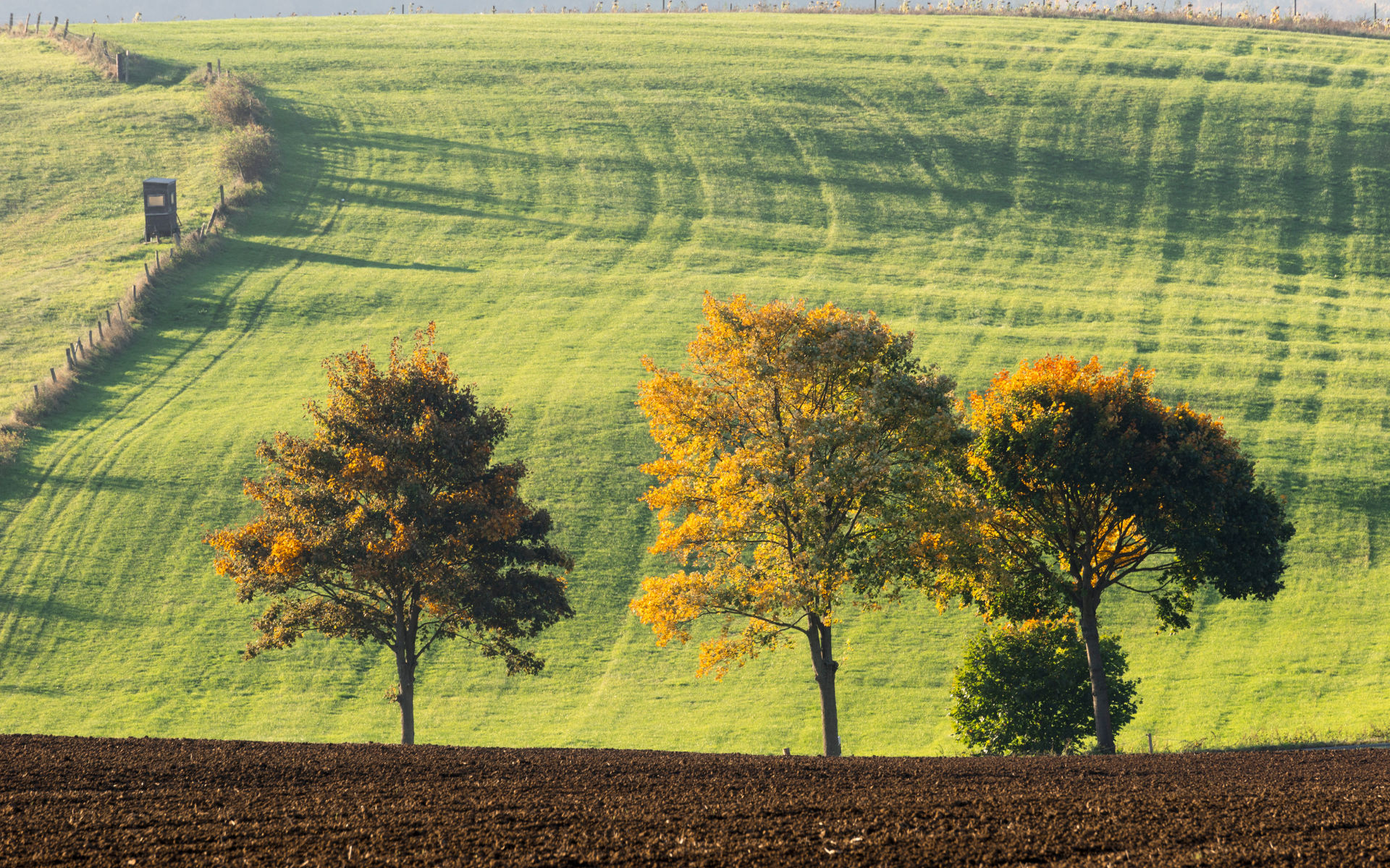 Niedersachsen