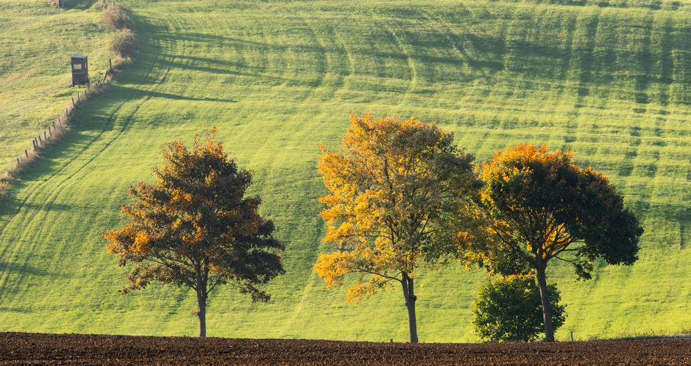 Lower Saxony