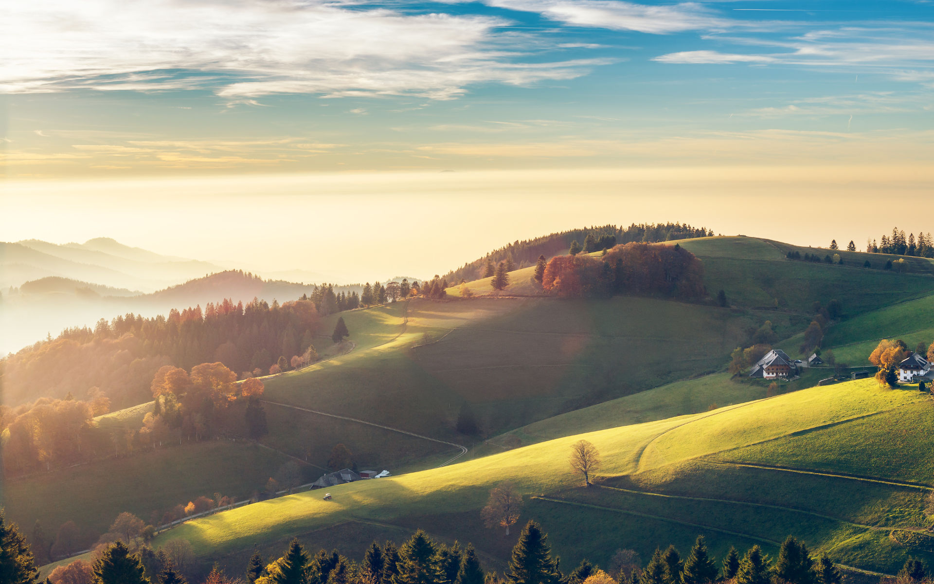Schwarzwald