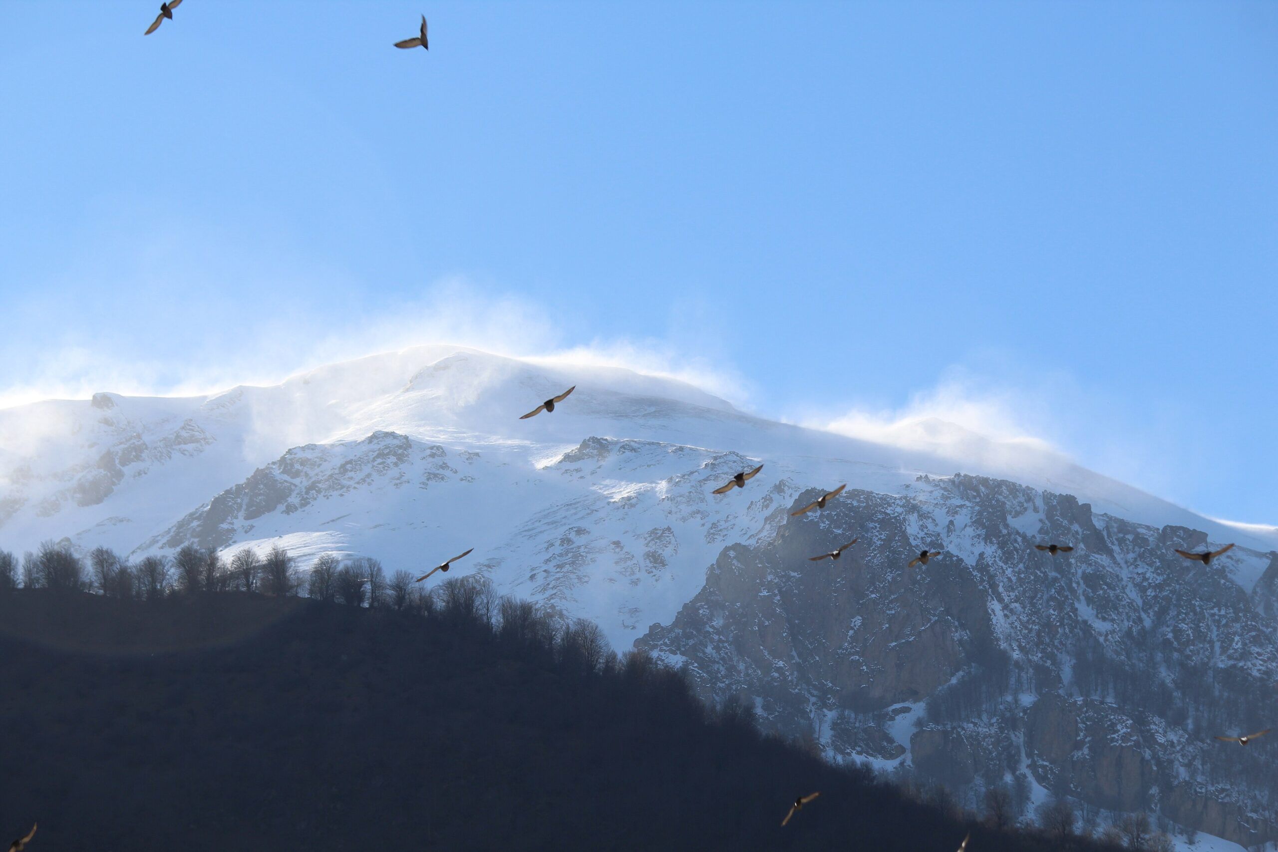 Alborz Mountains, Iran