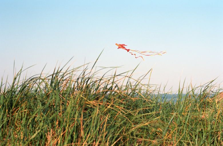 Abbraccia il fallimento