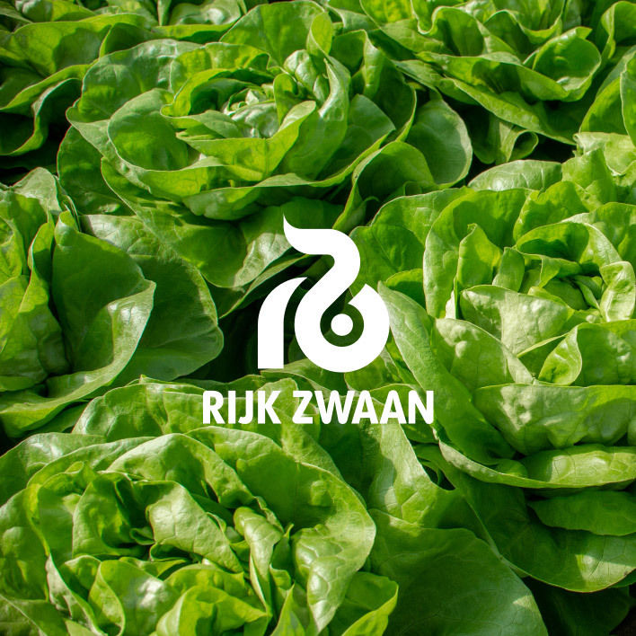 RIJK ZWAAN