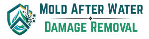 National Mold After Water Damage Removal
