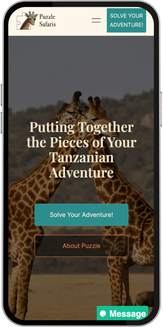 Mobile phone with website open