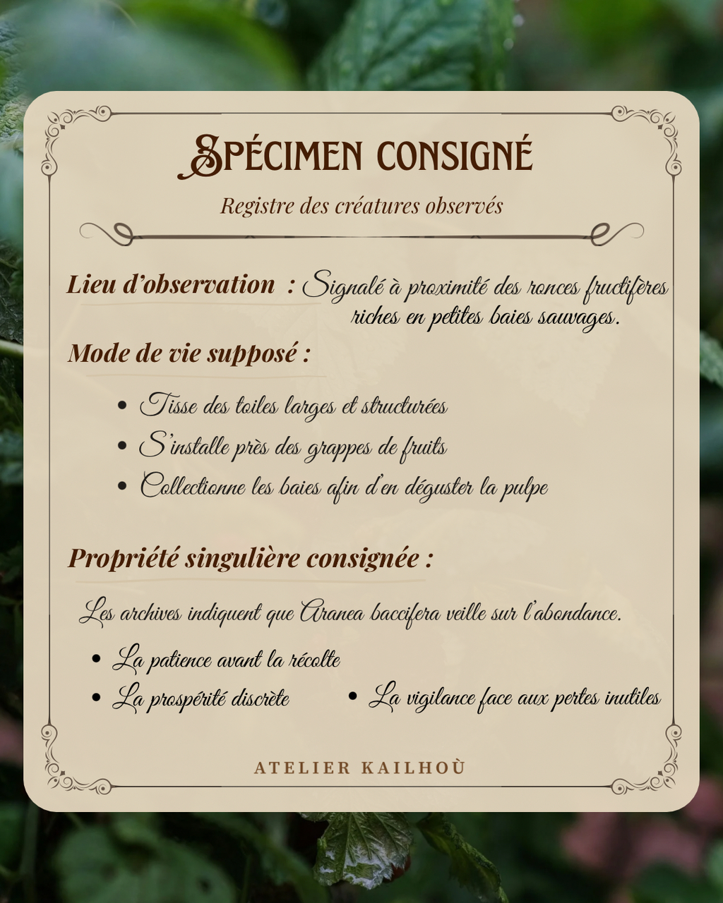 This image displays a vintage-style document or label, possibly for a fictional or artistic project, set against a blurred background of green foliage. The document itself is rectangular with ornate, decorative borders in a dark brown or sepia tone, giving it an aged appearance. The background of the document is a light, creamy beige or off-white. The text on the document is in French and is styled with a classic, elegant font, primarily in a dark brown color. Here's a breakdown of the content: *   **Title:** "SPÉCIMEN CONSIGNÉ" (Consigned Specimen)
*   **Subtitle:** "Registre des créatures observés" (Register of observed creatures) *   **Section 1: "Lieu d'observation :"** (Observation location:)
    *   "Signalé à proximité des ronces fructifères riches en petites baies sauvages." (Reported near fruiting brambles rich in small wild berries.) *   **Section 2: "Mode de vie supposé :"** (Supposed way of life:)
    *   "Tisse des toiles larges et structurées" (Weaves large and structured webs)
    *   "S'installe près des grappes de fruits" (Settles near fruit clusters)
    *   "Collectionne les baies afin d'en déguster la pulpe" (Collects berries to taste their pulp) *   **Section 3: "Propriété singulière consignée :"** (Singular property consigned:)
    *   "Les archives indiquent que Aranea baccifera veille sur l'abondance." (Archives indicate that Aranea baccifera watches over abundance.)
    *   "La patience avant la récolte" (Patience before the harvest)
    *   "La prospérité discrète" (Discreet prosperity)
    *   "La vigilance face aux pertes inutiles" (Vigilance against unnecessary losses) *   **Bottom:** "ATELIER KAILHOU" (Kailhou Workshop) The overall aesthetic suggests a blend of natural history, fantasy, and artistic design, possibly for a game, a book, or a decorative piece. The blurred green background reinforces the natural, outdoor theme implied by the text.