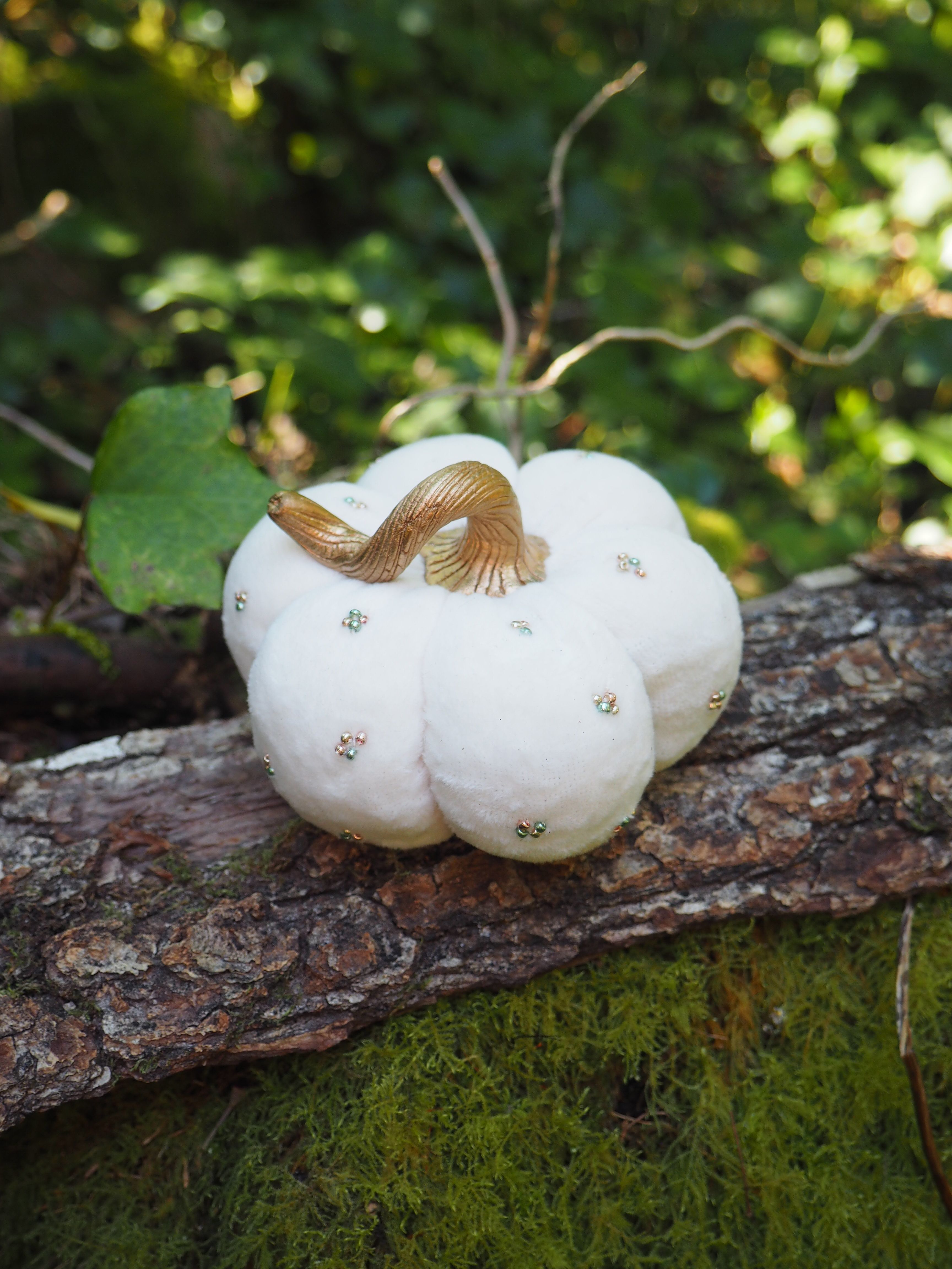 Cette image montre un escargot se déplaçant sur un groupe de champignons blancs qui poussent sur un tronc d'arbre couvert de mousse. Les champignons sont d'un blanc pur et semblent regroupés en grappe. L'escargot, avec sa coquille brune, crée un beau contraste sur la surface blanche immaculée des champignons. L'arrière-plan est verdoyant et légèrement flou, avec une lumière naturelle filtrant à travers le feuillage. La texture de l'écorce de l'arbre et la mousse verte ajoutent de la profondeur à la composition. C'est une scène naturelle paisible qui capture un moment délicat dans la nature.