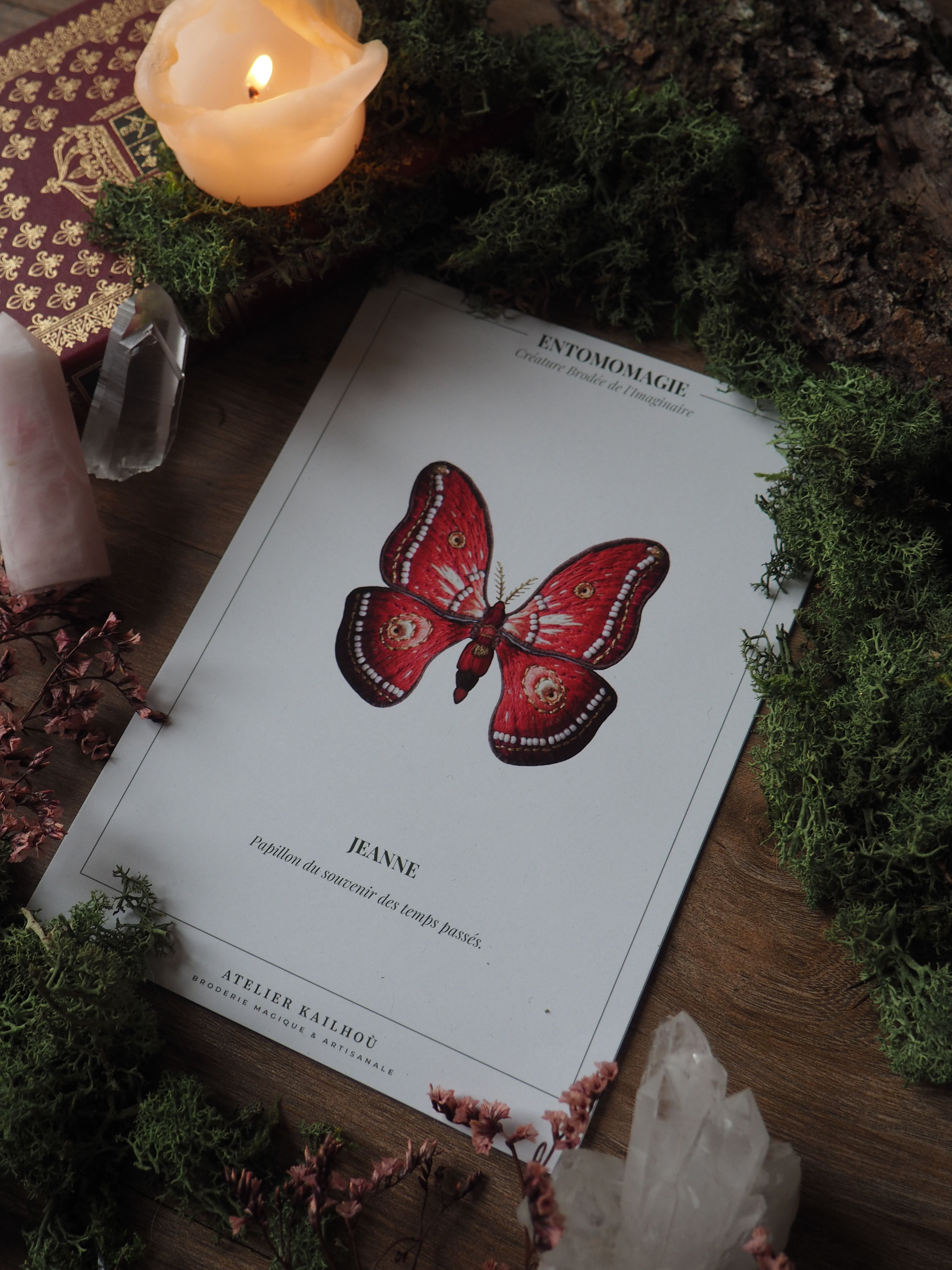 L'image montre une scène chaleureuse et apaisante, centrée sur un livre ou un magazine ouvert. Sur la page visible, on peut voir l'illustration d'un grand papillon rouge. Le titre "ENTOMOLOGIE" est visible en haut de la page, suggérant que le livre traite des insectes. Autour du livre, l'ambiance est très cosy et naturelle. Il y a des branches de sapin vert qui encadrent la scène, évoquant une atmosphère hivernale ou de Noël. Une bougie allumée de couleur crème est visible, ajoutant une lueur douce à la composition. On aperçoit également d'autres éléments décoratifs comme ce qui semble être un cristal blanc ou un quartz, et quelques petites fleurs séchées roses. Le tout est disposé sur ce qui paraît être une surface en bois, peut-être une table. L'ensemble crée une ambiance sereine, propice à la lecture et à la contemplation, mêlant des éléments naturels à un intérêt pour la science des insectes représentée par le livre d'entomologie.