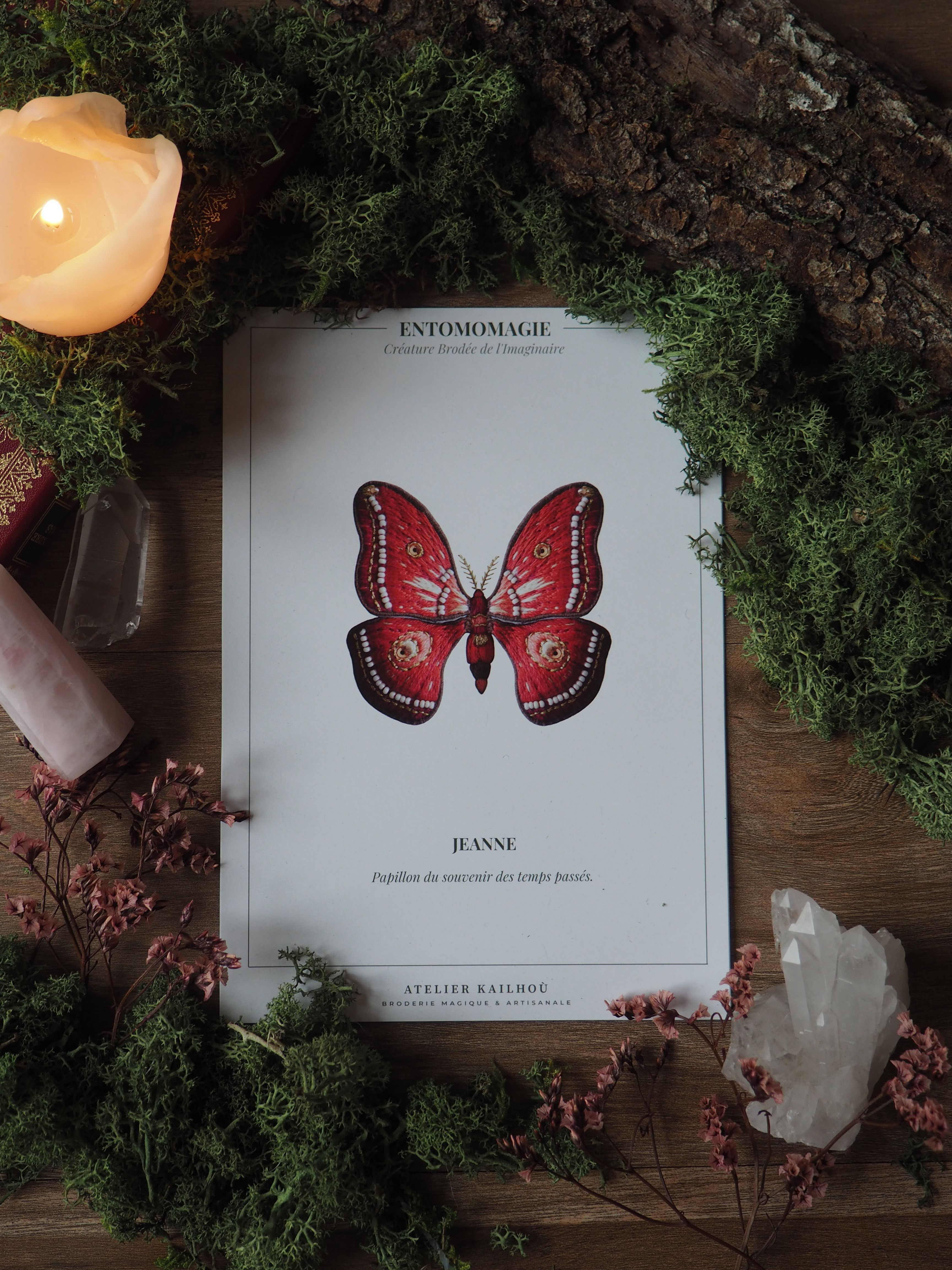 L'image montre une composition artistique centrée autour d'un livre ou d'une illustration intitulée "Entomomagie". Le livre présente une belle illustration d'un papillon rouge vif nommé "Jeanne". Autour du livre, on trouve divers éléments naturels créant une ambiance mystique et forestière :
- De la mousse verte et des brindilles entourent le livre
- Une bougie allumée de couleur pêche est visible dans le coin supérieur gauche
- Des cristaux, notamment un cristal de quartz blanc, sont disposés autour
- On aperçoit également ce qui semble être des fleurs séchées ou des petites baies rouges L'ensemble crée une atmosphère enchantée, comme si on découvrait un grimoire magique au cœur d'une forêt. Les couleurs dominantes sont le vert de la végétation, le rouge vif du papillon, et les tons chauds de la bougie, contrastant avec le fond sombre en bois. Cette mise en scène évoque un univers de magie naturelle, de secrets de la forêt, et une connexion entre le monde des insectes et celui de la magie ou de la spiritualité.