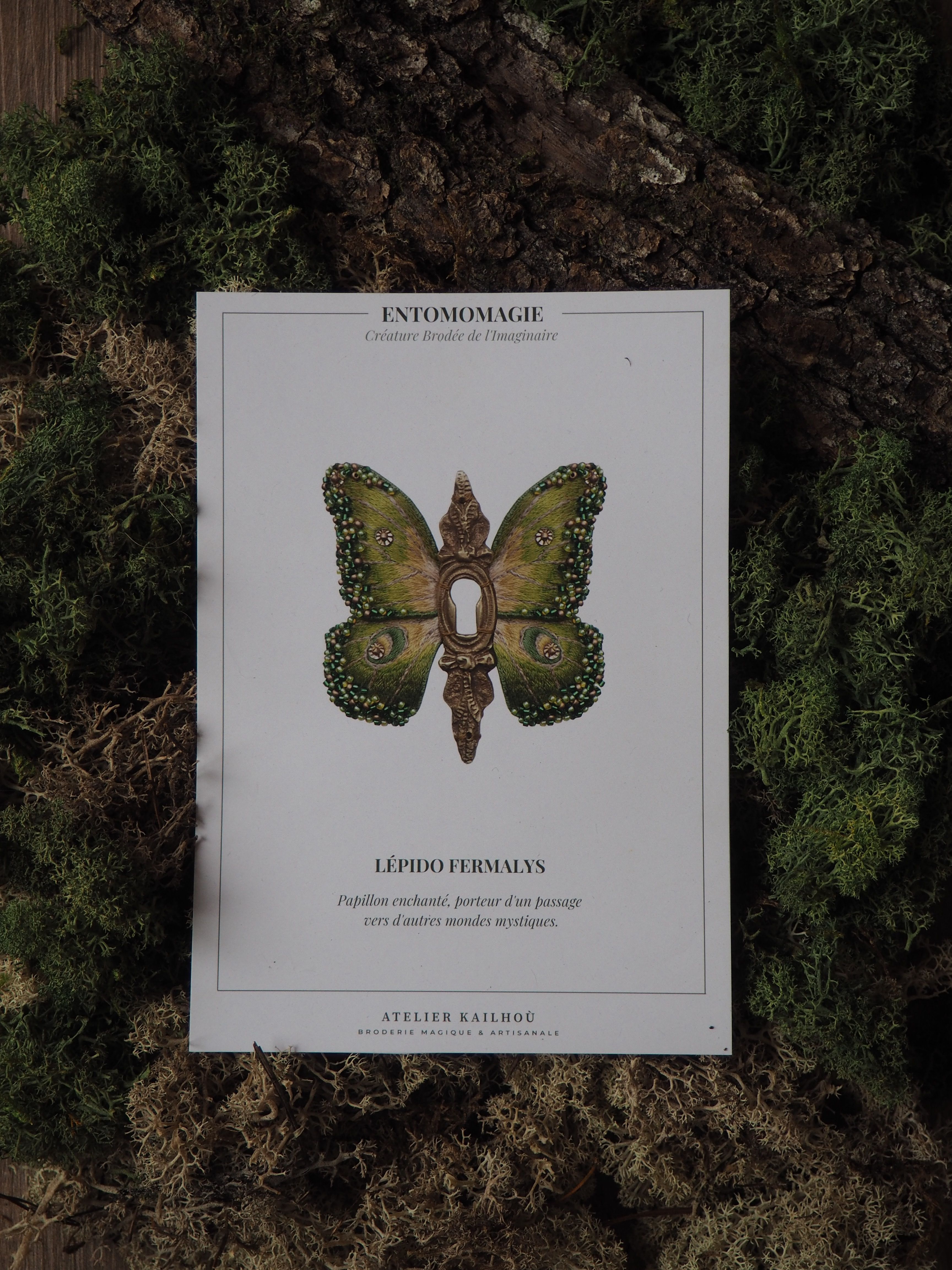 L'image montre une illustration encadrée d'un papillon posée sur un fond naturel composé de mousse et d'écorce. L'illustration est intitulée "ENTOMOMAGIE" en haut et présente un papillon aux ailes vertes et dorées, finement détaillées. Sous l'image du papillon, on peut lire "LEPIDOPTIMAUX", suivi d'un texte plus petit en français qui semble décrire le papillon. Le cadre blanc de l'illustration contraste avec le fond naturel texturé, créant un effet intéressant entre l'art et la nature. L'ensemble évoque une présentation scientifique ou artistique d'un spécimen de papillon, mais avec une touche de fantaisie ou de magie suggérée par le titre "ENTOMOMAGIE". Cette composition met en valeur la beauté et la délicatesse du papillon tout en le plaçant dans un contexte qui rappelle son habitat naturel, créant ainsi un lien visuel entre l'illustration scientifique et l'environnement de l'insecte.