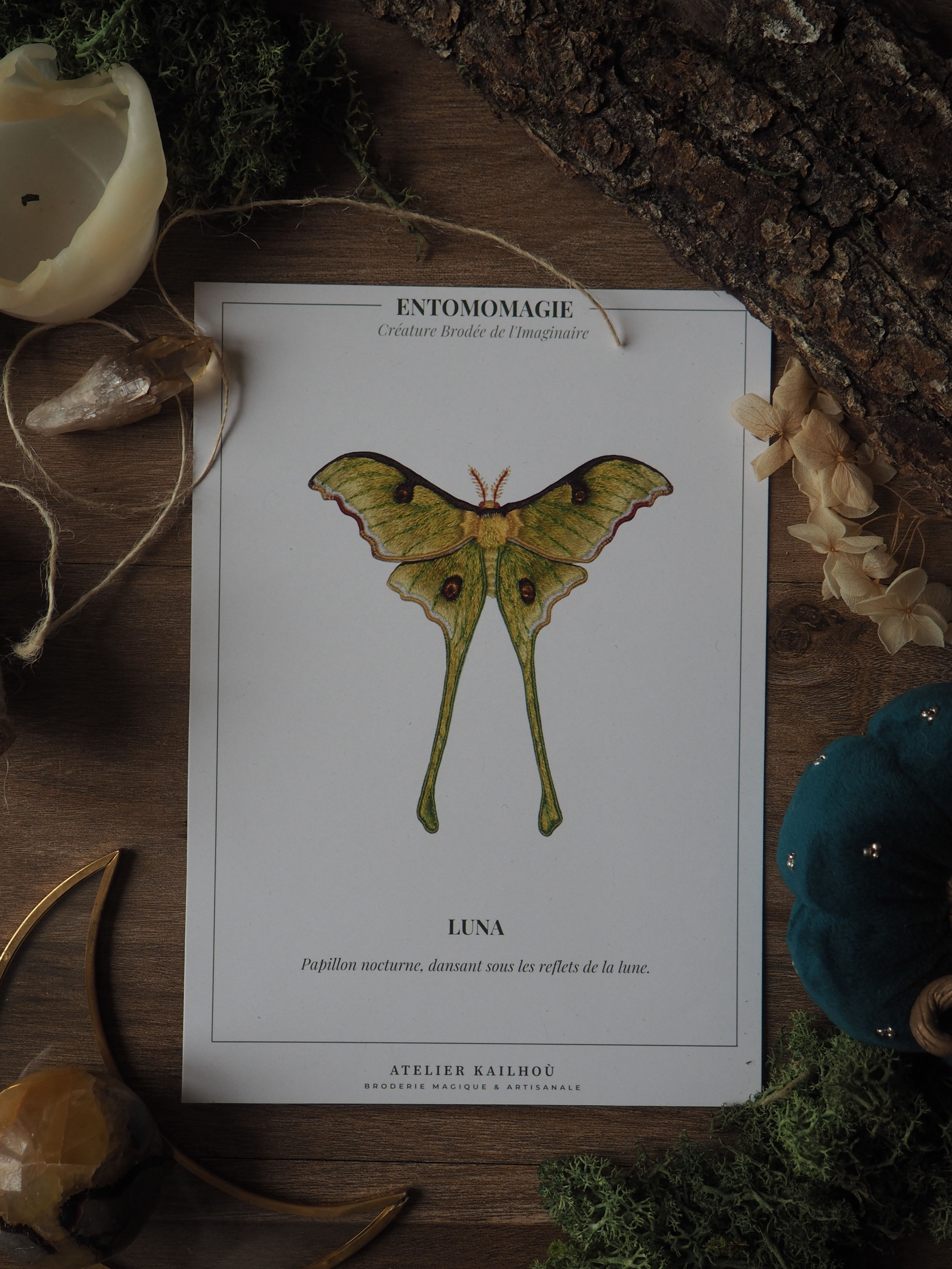 L'image montre une belle composition centrée autour d'une illustration scientifique d'un papillon. Le papillon, nommé "Luna" selon l'étiquette, est représenté en vert pâle avec de longues queues caractéristiques. L'illustration est encadrée sur une carte blanche portant le titre "ENTOMOMAGIE" en haut. Autour de cette illustration centrale, on voit divers éléments naturels disposés de manière artistique sur une surface en bois. Il y a des morceaux d'écorce, des feuilles séchées, de la mousse, et ce qui semble être une coquille d'œuf ou un morceau de coquillage blanc. On aperçoit également un objet bleu-vert qui pourrait être une pierre ou un autre élément décoratif. L'ensemble crée une ambiance naturelle et poétique, évoquant un cabinet de curiosités ou une collection d'objets liés à l'étude de la nature. La composition est soignée et équilibrée, mettant en valeur la beauté délicate du papillon Luna tout en l'entourant d'éléments naturels complémentaires.