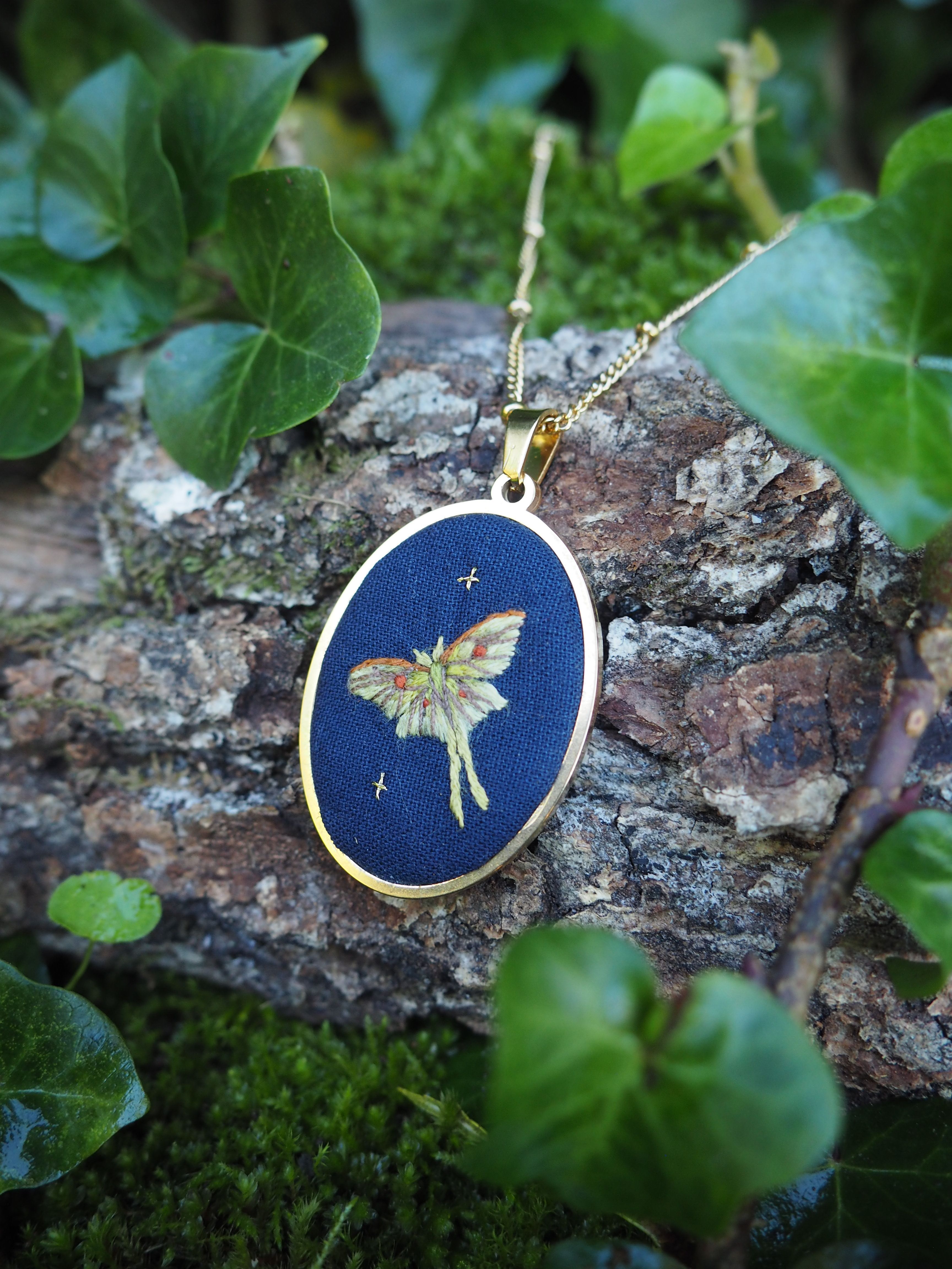 Usine, Feuille, Botanique, Plante terrestre, Fenêtre, Couvre-sol, Bleu électrique, Plante annuelle, Plante à fleurs, Légumes à feuilles