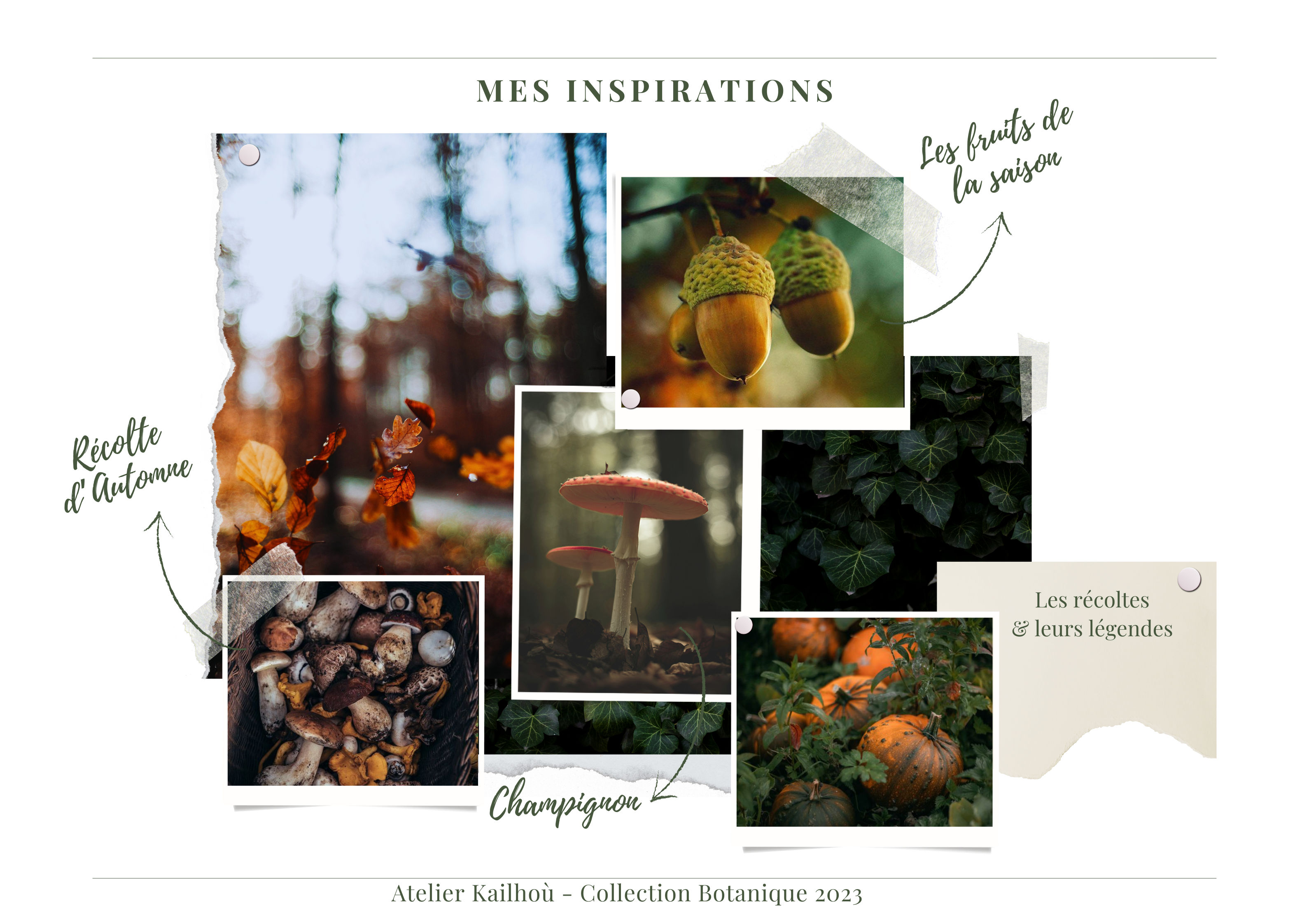 Cette image est un collage intitulé "MES INSPIRATIONS" qui semble être une planche d'inspiration ou un mood board sur le thème de la nature et de l'automne. Le collage comprend plusieurs photographies : 1. Une image floue d'arbres avec des lumières chaudes, étiquetée "Vieille d'automne".
2. Une photo de glands, étiquetée "Les fruits de la saison".
3. Une image de champignons rouges à pois blancs, probablement des amanites tue-mouches, étiquetée "Champignons".
4. Une photo de citrouilles ou de potirons dans un champ.
5. Une image de bûches ou de morceaux de bois empilés. Il y a également des éléments graphiques comme des feuilles vertes et une forme blanche qui ressemble à un nuage ou à un morceau de papier déchiré, sur lequel est écrit "Les récoltes & leurs légendes". Le style général est naturel et automnal, avec des couleurs chaudes et des éléments typiques de la saison comme les champignons, les glands et les citrouilles. L'ensemble donne une impression de collection botanique ou d'étude de la nature. En bas de l'image, on peut lire "Atelier Kailhoui - Collection Botanique 2023", suggérant que ce collage fait partie d'une collection ou d'un projet artistique.