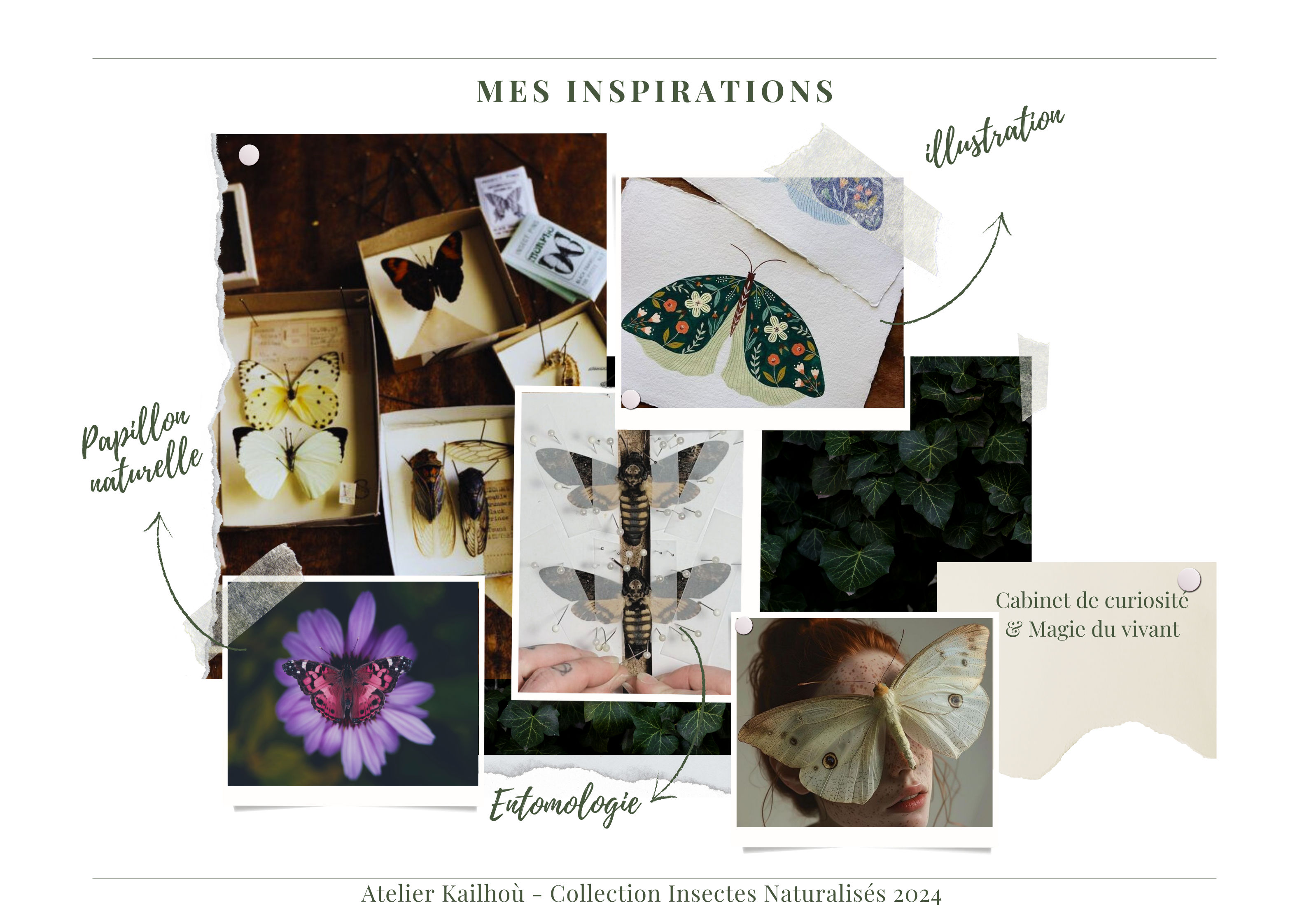 Cette image est un collage intitulé "MES INSPIRATIONS" qui semble être une planche d'inspiration pour un projet artistique ou de design. Le collage contient plusieurs photographies et illustrations sur le thème des insectes et de la nature, en particulier des papillons et des libellules. Les éléments principaux comprennent : 1. Des illustrations de papillons dans différents styles, certains encadrés.
2. Une grande image d'une fleur violette, probablement une passion flower, avec un papillon.
3. Une illustration détaillée d'une libellule.
4. Une image d'un papillon vert avec des motifs complexes sur ses ailes.
5. Une photo floue d'un papillon blanc sur ce qui semble être une main ou un bras.
6. Des images de feuillage vert foncé en arrière-plan. Le collage est annoté en français avec des termes comme "Papillon", "Illustration", et "Entomologie". En bas de l'image, on peut lire "Atelier Kaillou - Collection Insectes Naturaliste 2024", suggérant que c'est peut-être une planche d'inspiration pour une collection de mode ou d'art sur le thème des insectes prévue pour 2024. L'ensemble donne une impression de nature, de délicatesse et de beauté, avec une attention particulière portée aux détails et aux motifs trouvés dans le monde des insectes.
