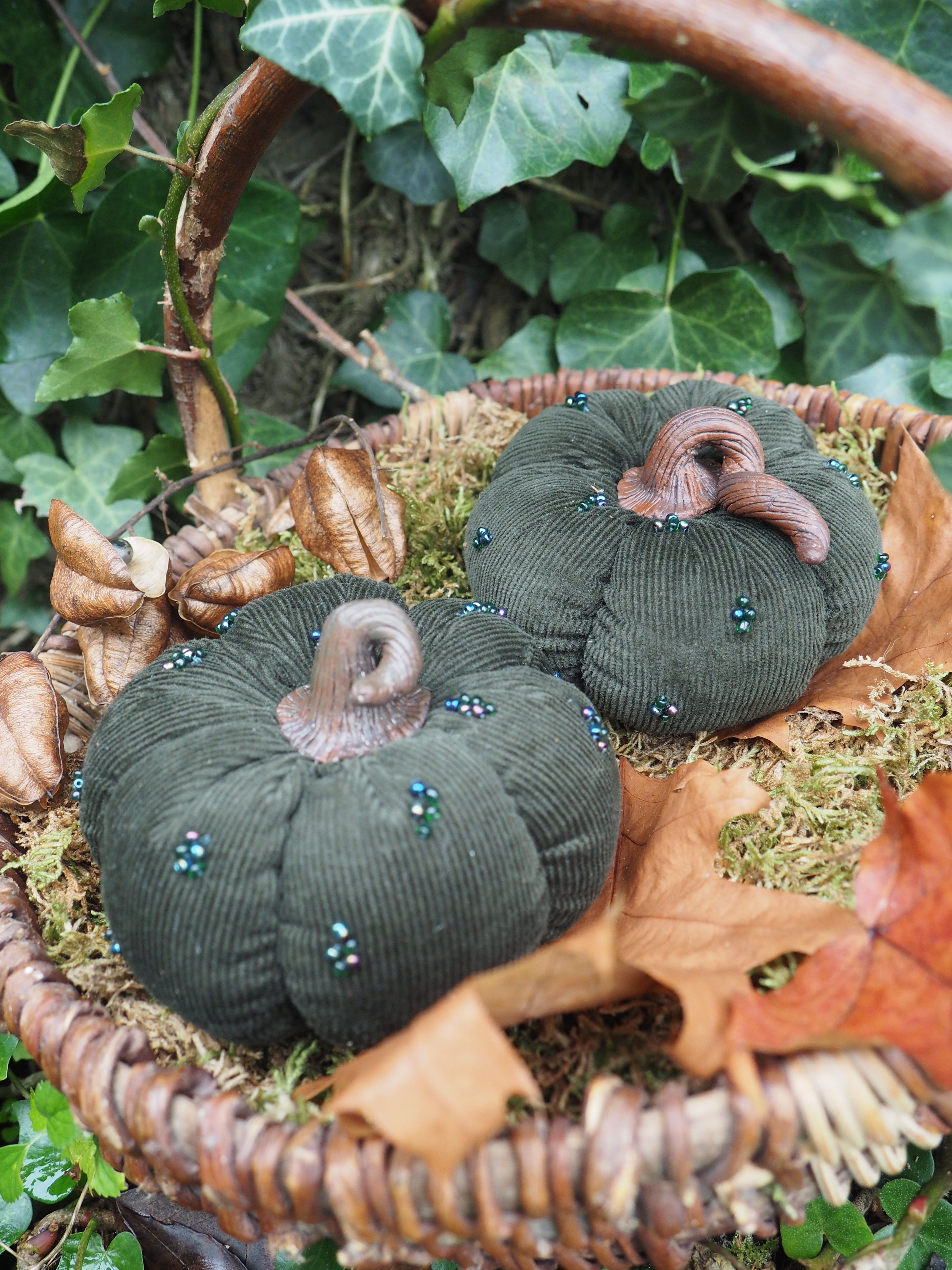 Usine, Plante terrestre, Citrouille, Citrouille, Courge d'hiver, Citrouille, Gourde, Animal terrestre, Couvre-sol, Aliments naturels