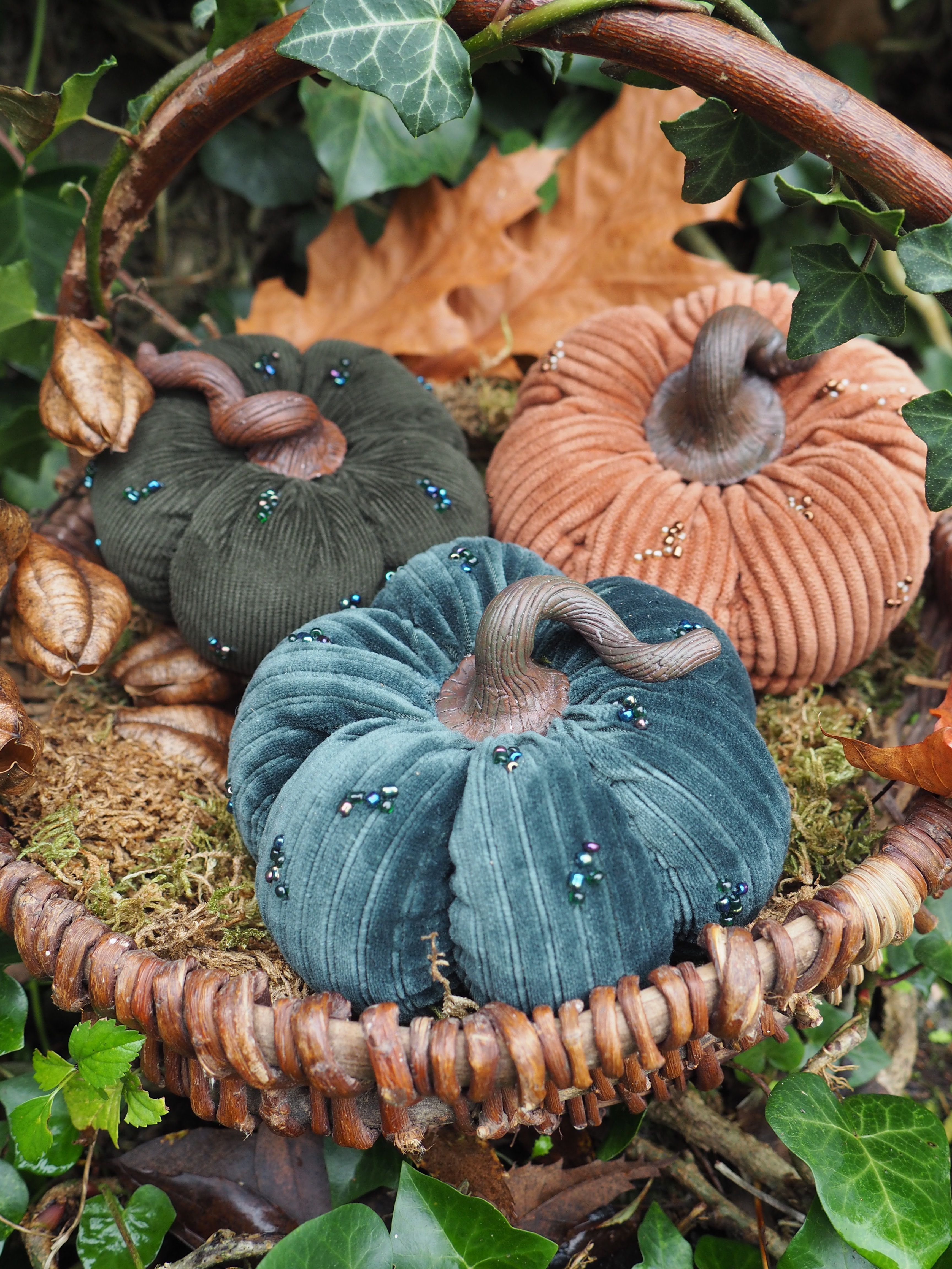 Nourriture, Citrouille, Usine, Citrouille, Courge d'hiver, Vert, Botanique, Citrouille, Feuille, Aliments naturels