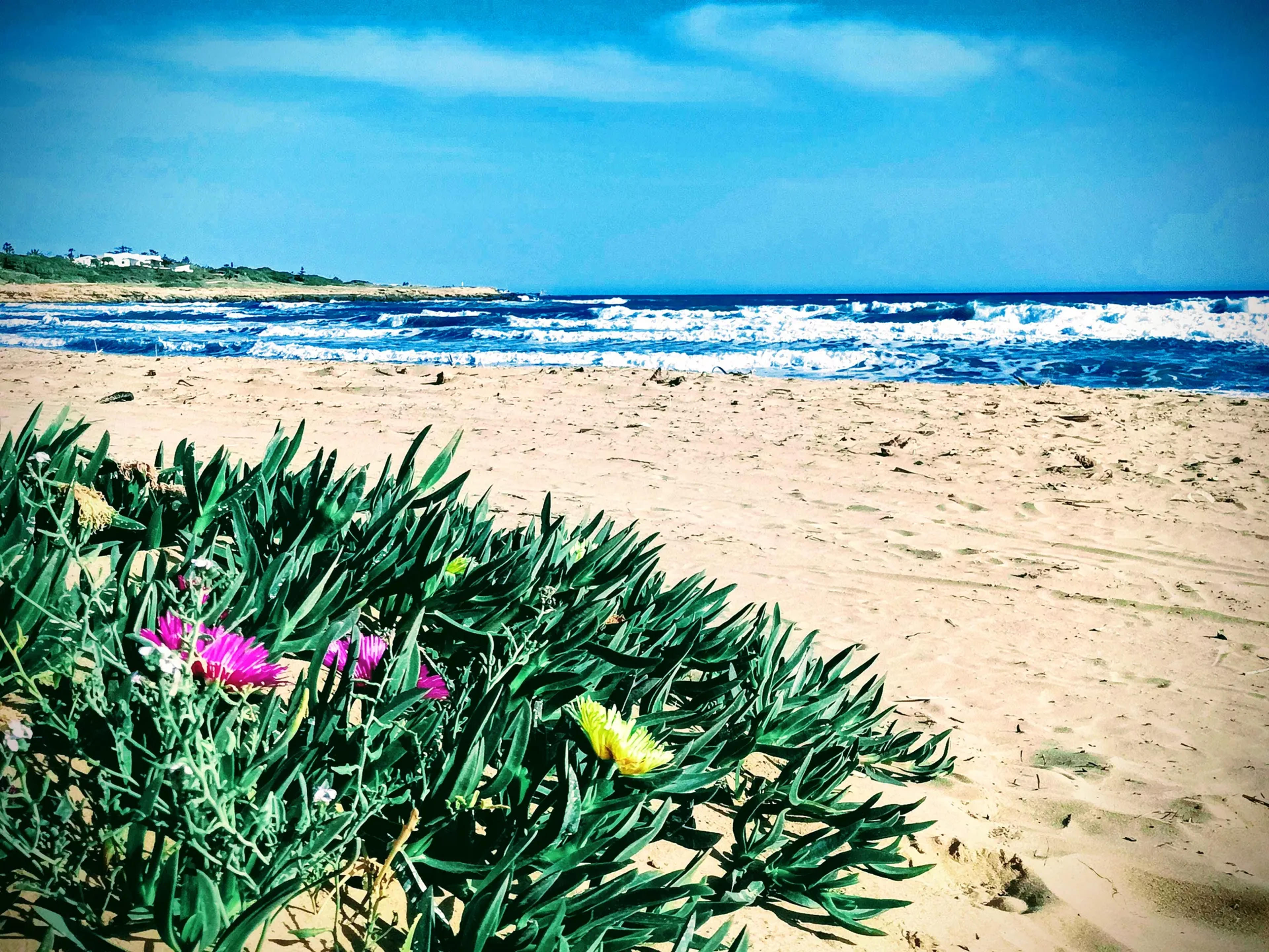 Blue Sea Apartment — Ragusa