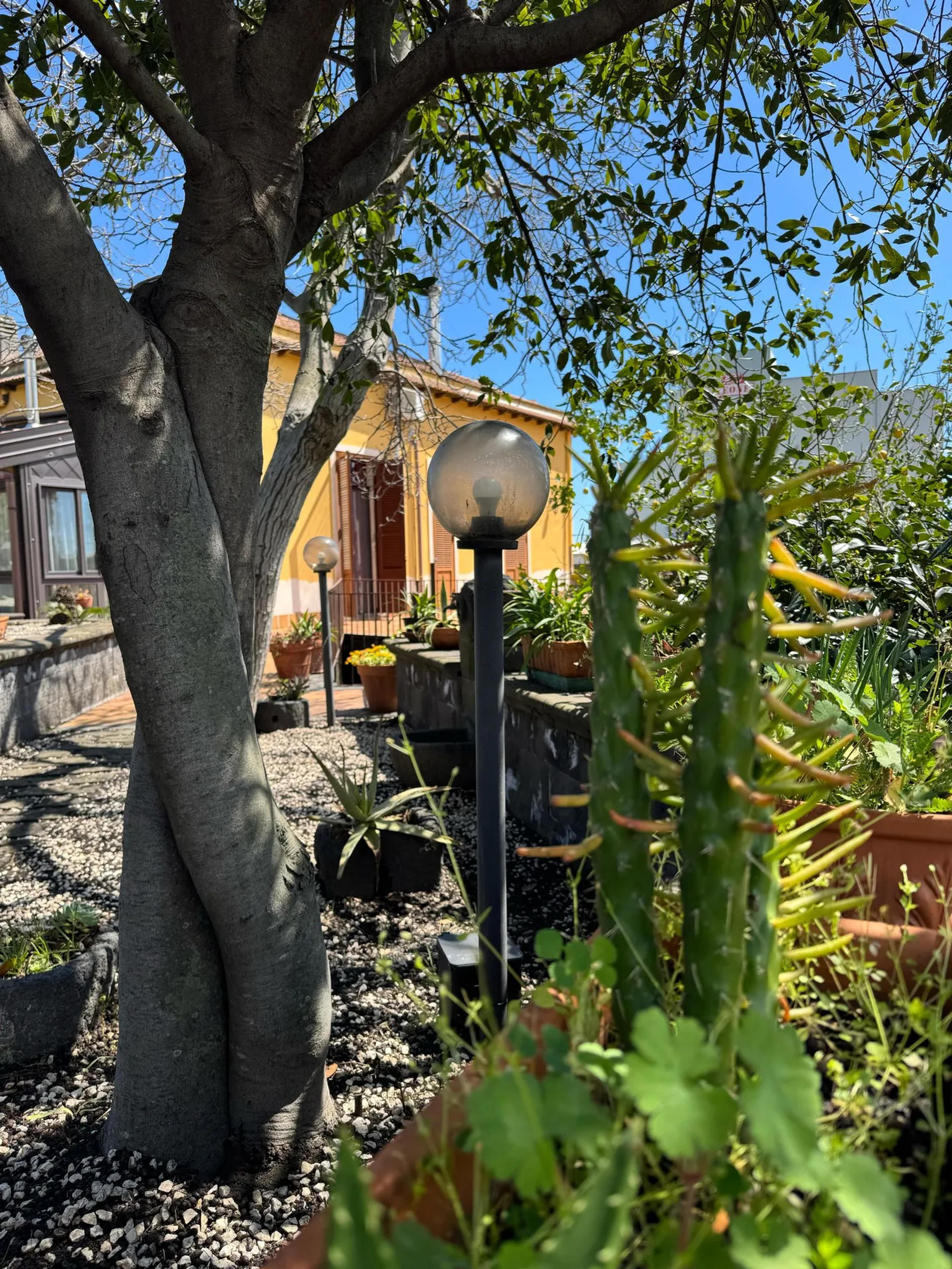 Zest house — Santa Venerina