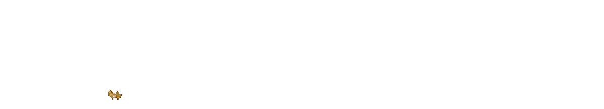 PAUSHOKI