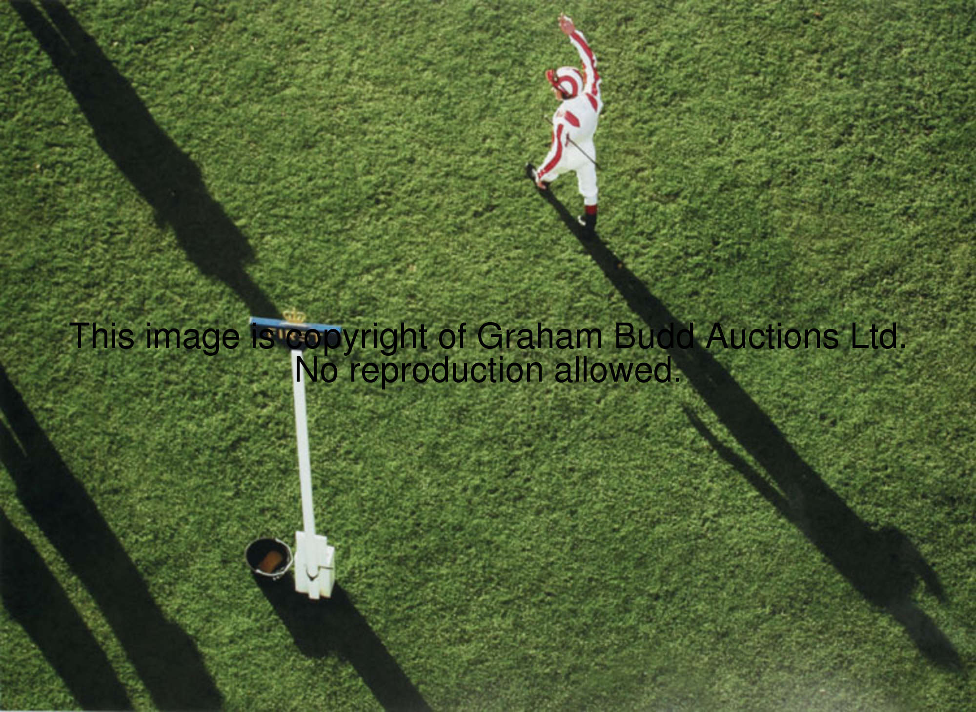 Edward Whittaker (photographer) A BIRD'S EYE VIEW colour photograph of Frankie Dettori in the winner...