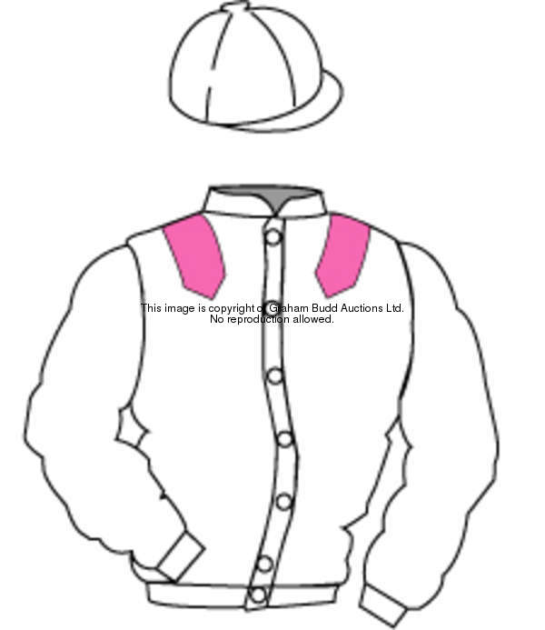 Distinctive Colours: WHITE, PINK epaulets