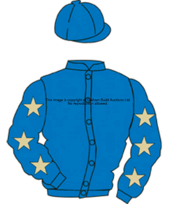 Distinctive Colours: ROYAL BLUE, BEIGE stars on sleeves