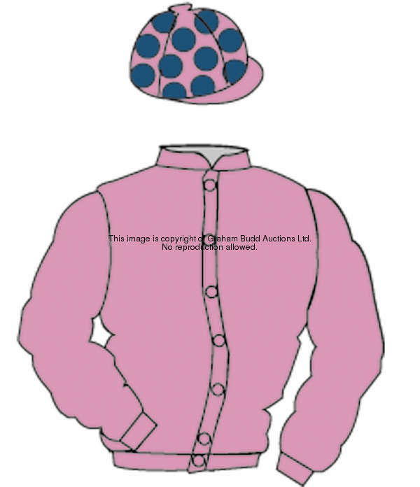 Distinctive Colours: PINK, DARK BLUE spots on cap