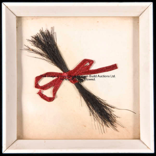 A lock of Arkle's tail hair, tied with red ribbon & displayed under glass in a small picture frame, ...