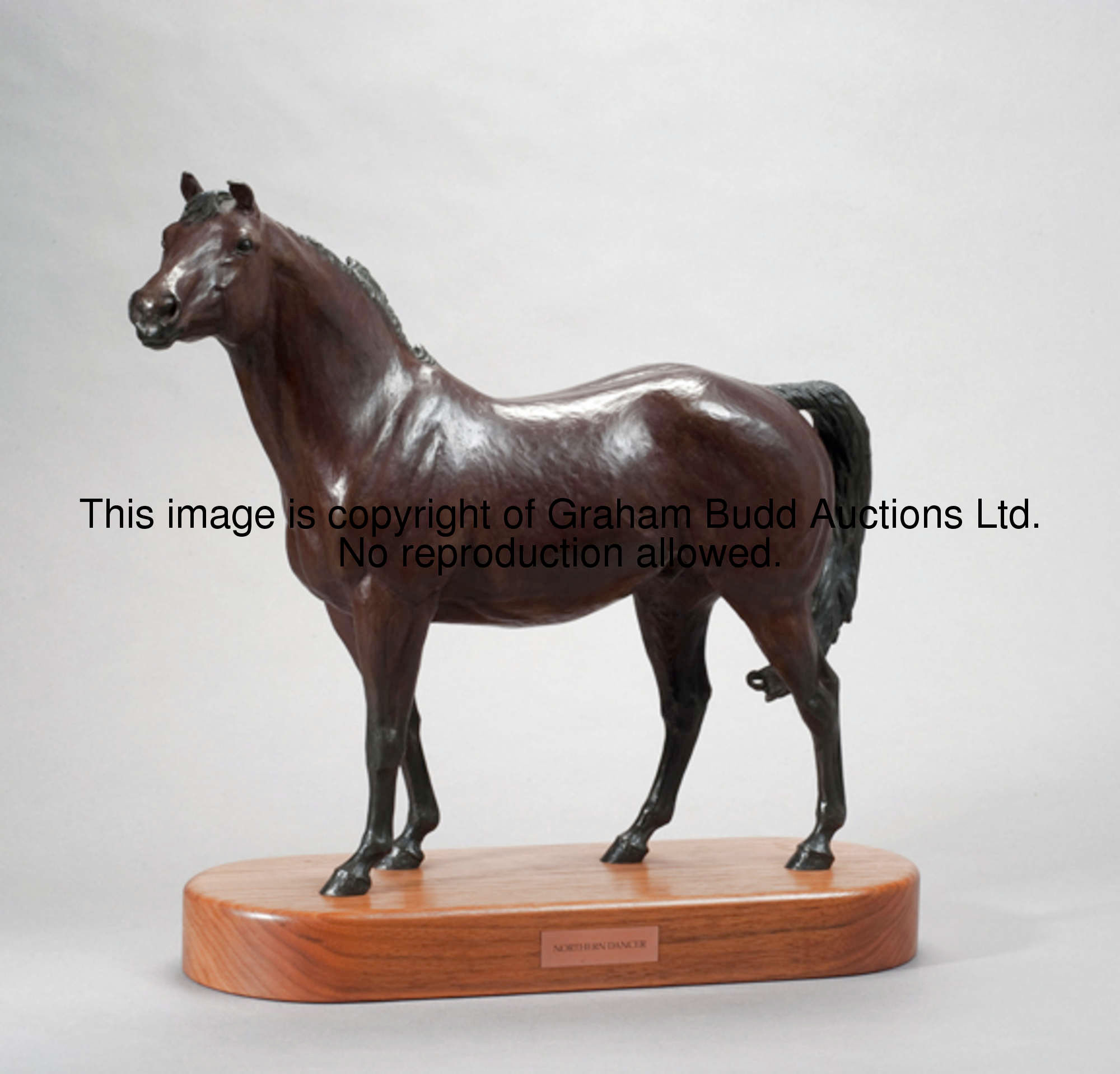 Liza Todd Tivey (born 1957) NORTHERN DANCER bronze, mid brown patina, mounted on a wooden plinth, he...