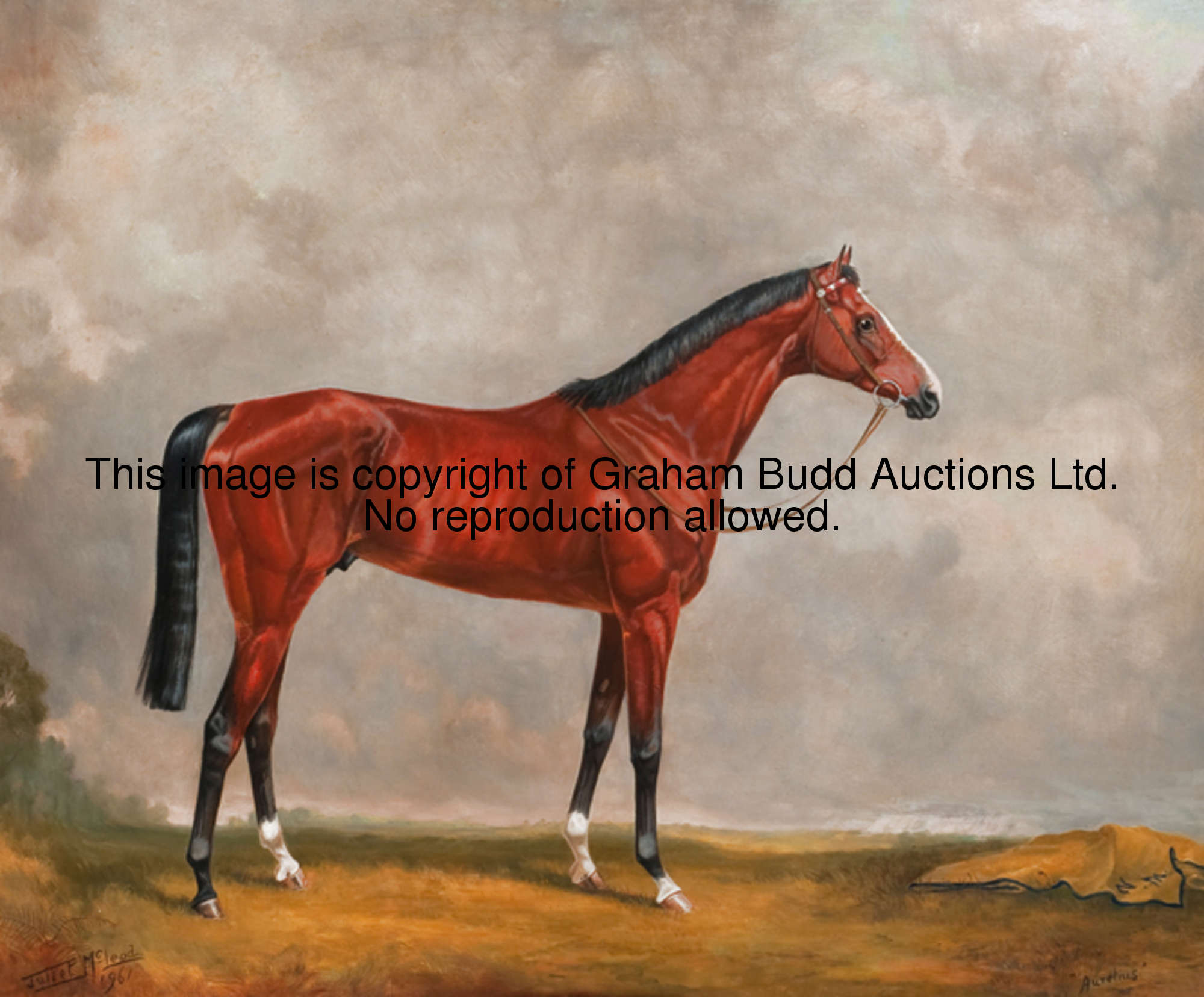 Juliet McLeod (Born 1917) AURELIUS (THE 1961 ST LEGER WINNER) signed & dated 1961, oil on canvas, fr...