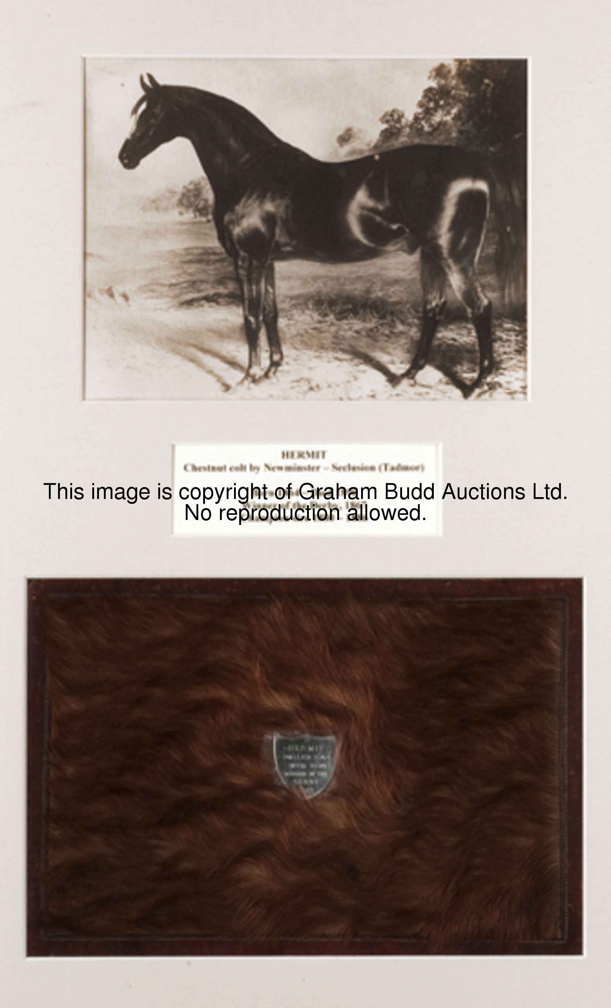 A section of skin of the 1867 Derby winner Hermit, mounted in a leather frame and set with a silver ...