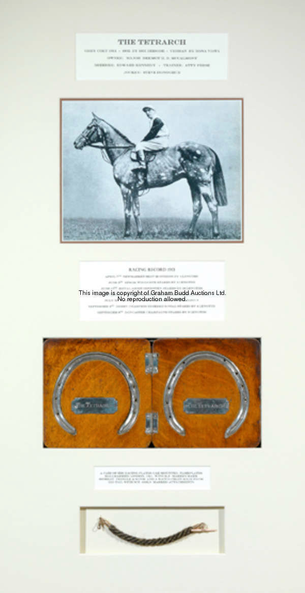 The Tetrarch: a framed display containing a pair of his racing plates and a plait of his tail hair, ...