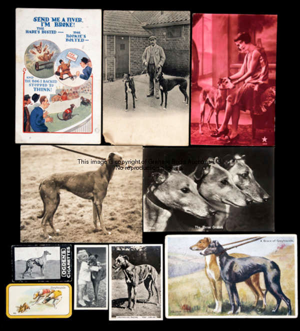 A good collection of postcards and cigarette cards featuring greyhounds, nearly 200 postcards in an ...