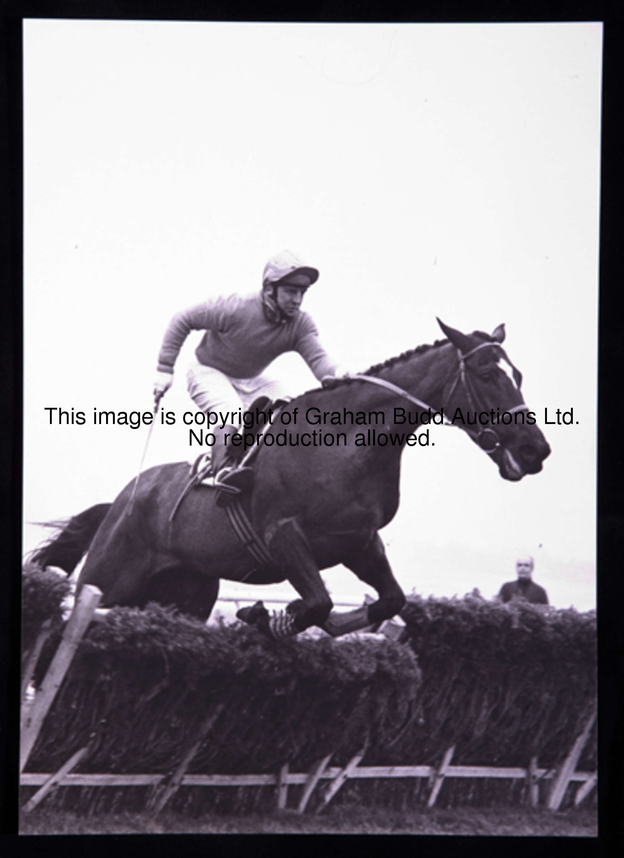 A photographic archive relating to the writing of Michael Tanner's book The Champion Hurdle, the ori...