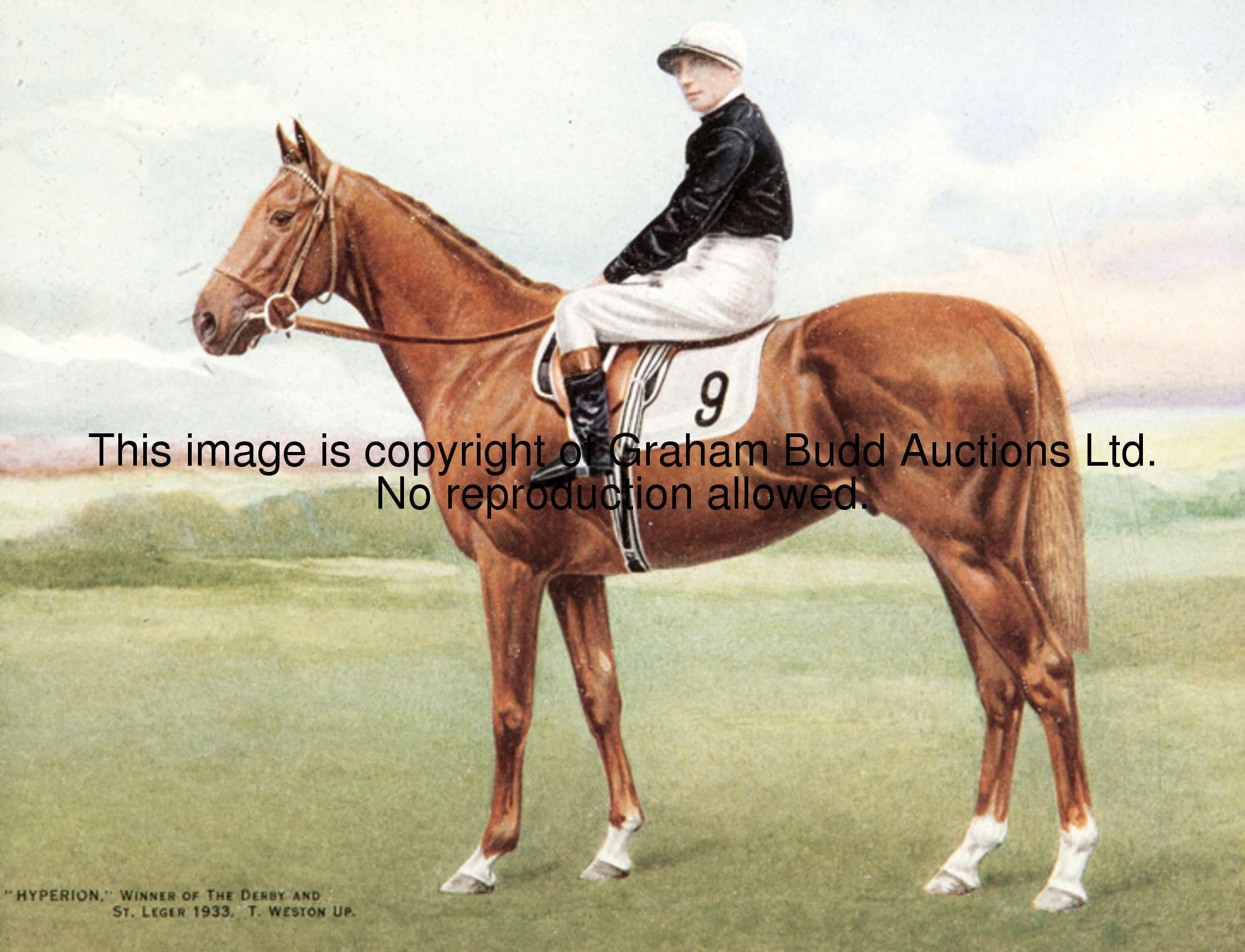 Hand coloured photograph of Hyperion with Tommy Weston Up, possibly used as for a cigarette card iss...