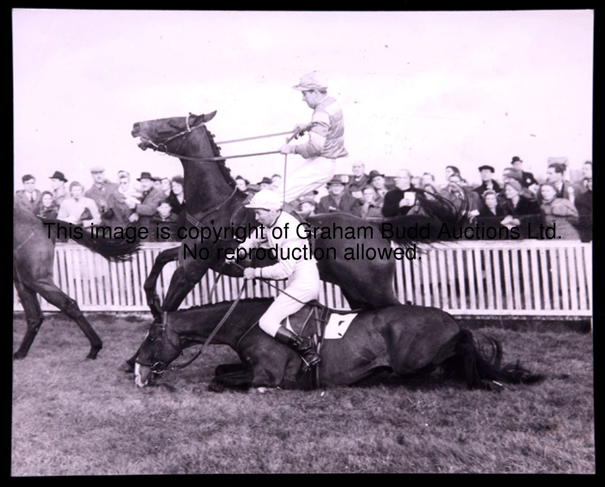 A photographic archive relating to the writing of Michael Tanner's book The King George VI Steeplech...