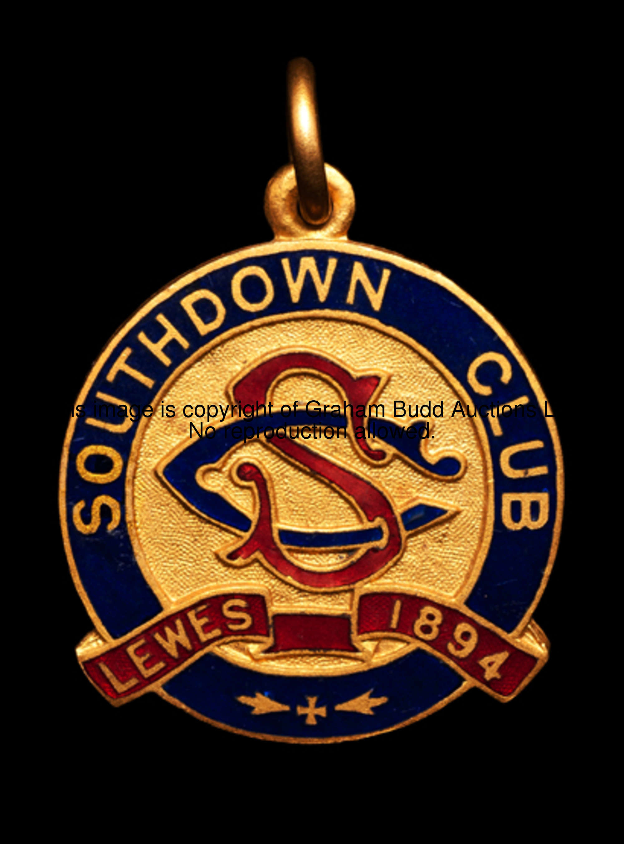 Southdown Sports Club in Lewes