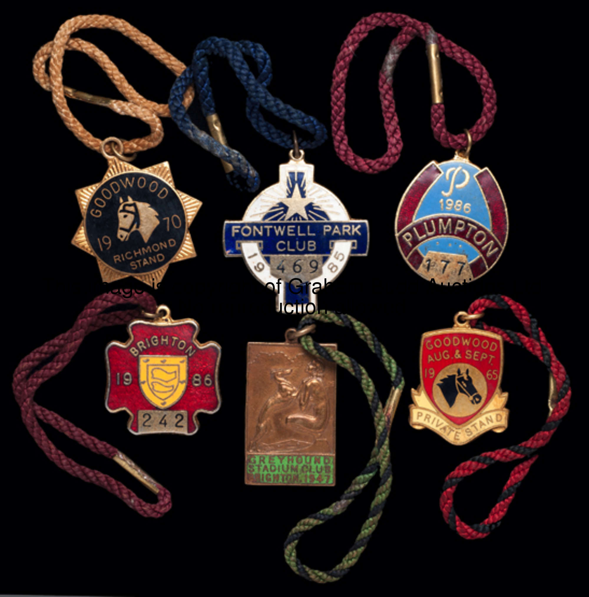 25 members' badges for racing in Sussex, all gilt-metal & enamel, comprising: Goodwood, Private Stan...