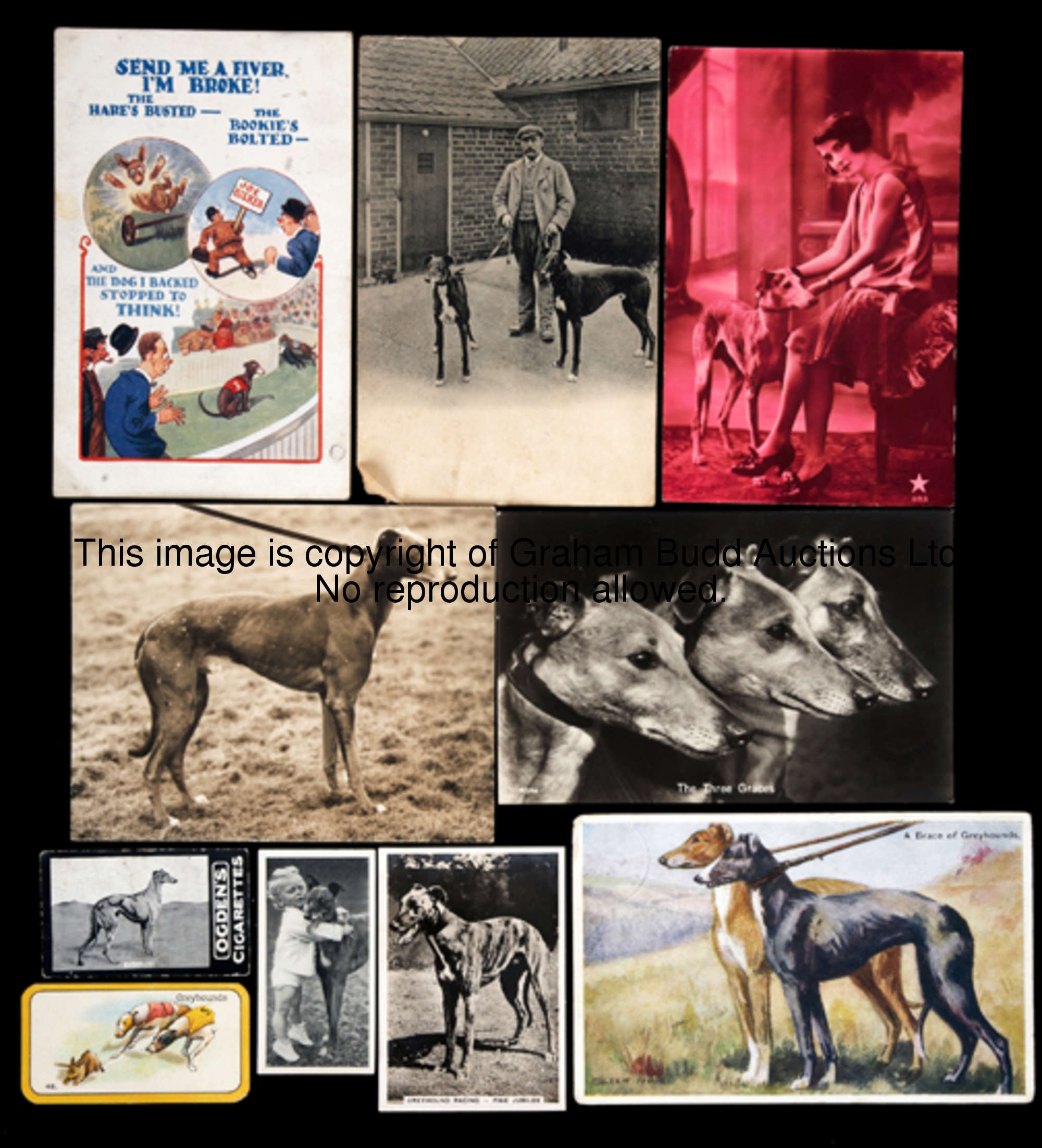 A good collection of postcards and cigarette cards featuring greyhounds, nearly 200 postcards in an ...