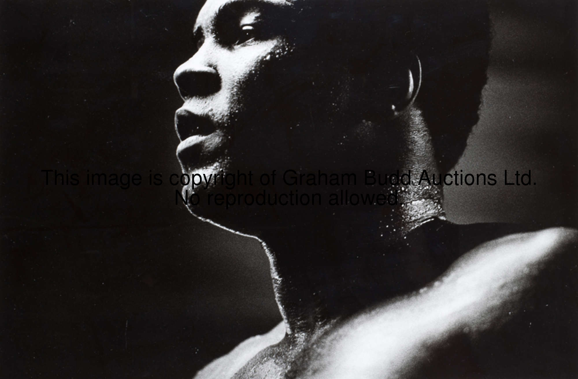 David King (photographer) MUHAMMAD ALI No.1 from a very limited edition of 25 released by David King...